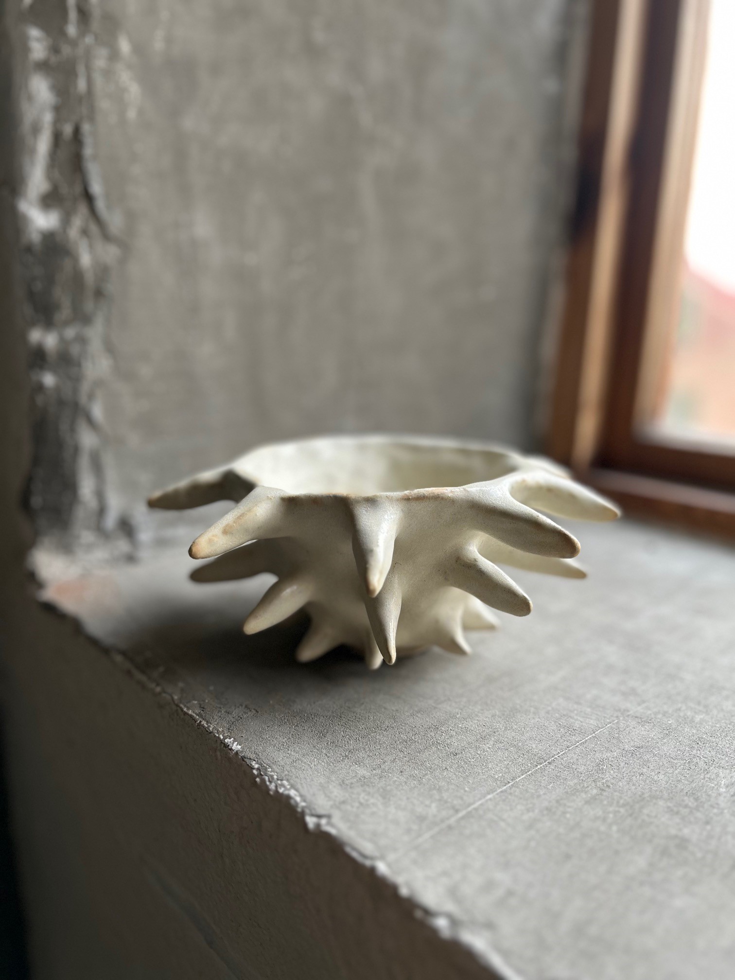 bowl with spikes